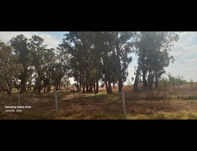 LAND FOR SALE IN ELOFF